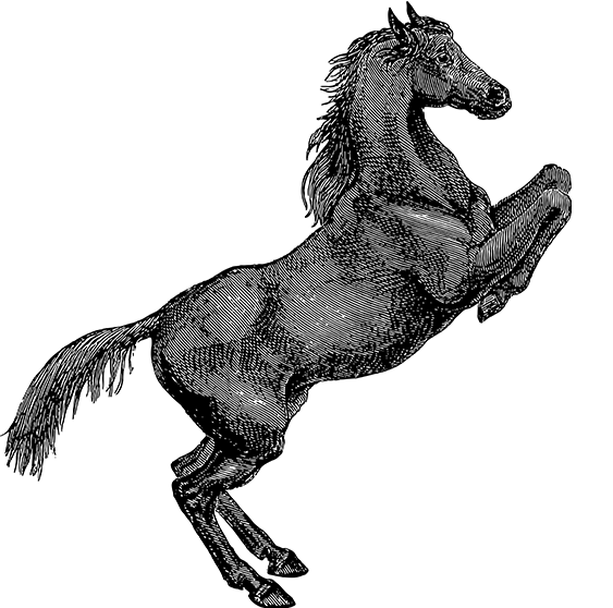 pg电子河南站