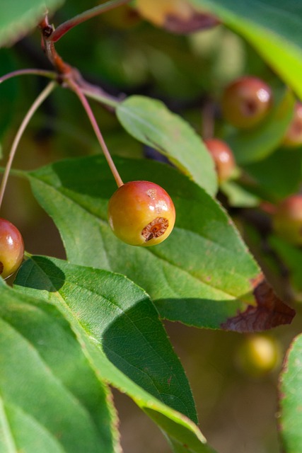 米爾頓談到詹姆斯助攻自己三分的感受希望有犯規或被換下的機會可以回顧一下.