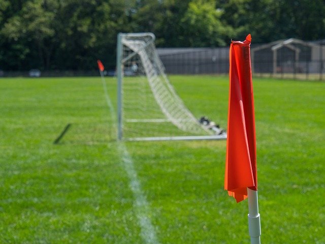 视的力量 视的力量