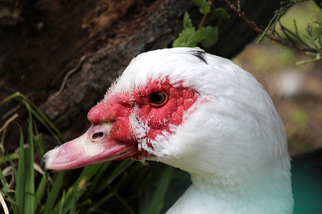 销哲学的基 销哲学的基