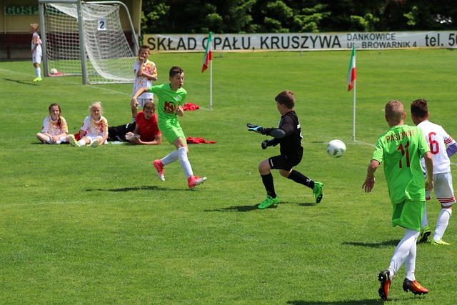 WCBA：主场连胜 山东高速赤水河酒女篮86-70福建女篮.