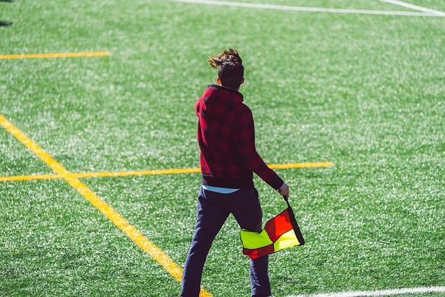 2023年亞足聯亞洲杯場地：賈努布體育場.